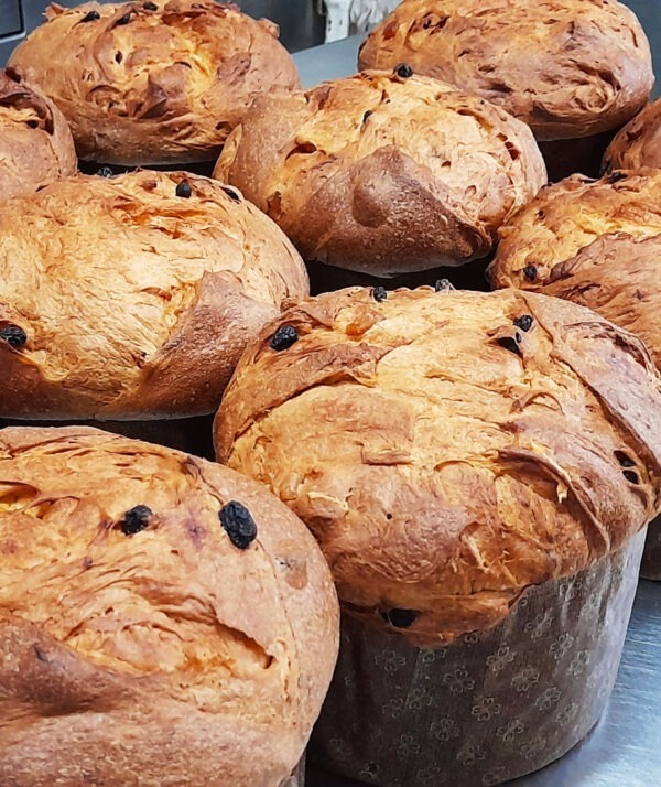 Pasticceria Di Vivo Napoli Panettone Shop Online